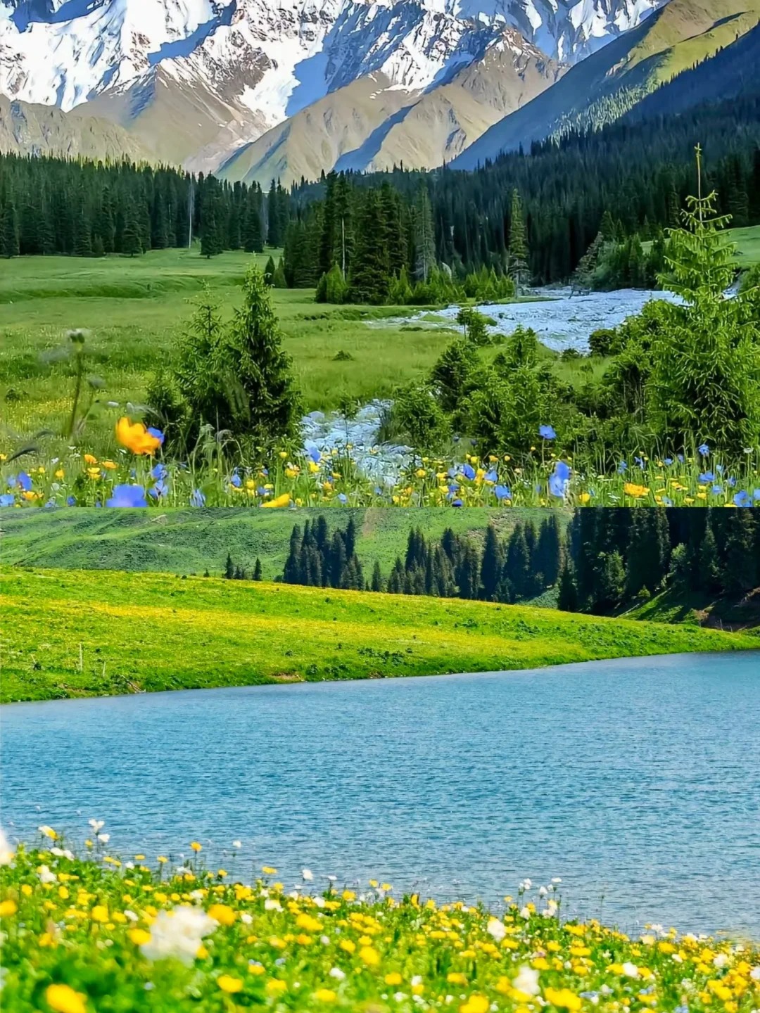 🌿新疆伊犁｜夏日天花板级8大仙境✨_5_ther的旅行日记_来自tour520旅游攻略